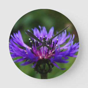Blue Cornflower Flower Blossoms Peace Love Destiny Round Clock