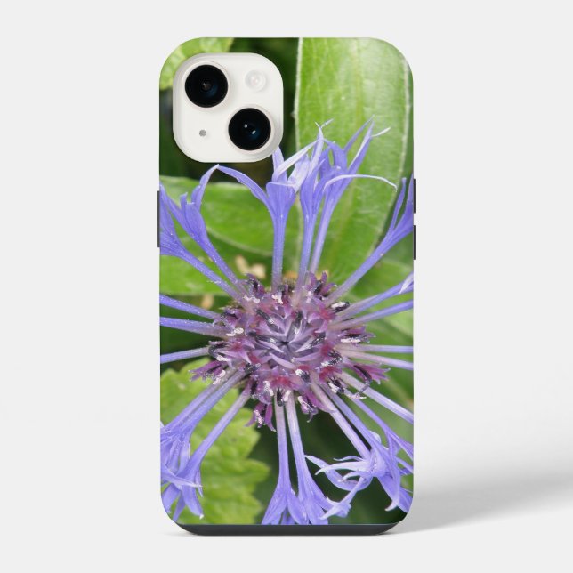 Blue Cornflower iPhone Case (Back)