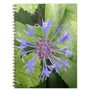 Blue Cornflower Notebook