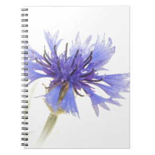 Blue Cornflower Photo - Notebook