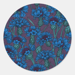 Blue cornflowers, wild flowers classic round sticker
