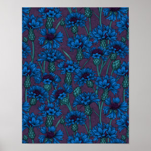 Blue cornflowers, wild flowers poster