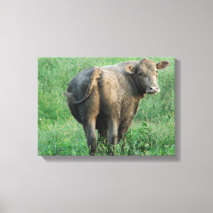 Blue Cow Canvas Print