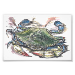 Blue Crab Art Photo Print