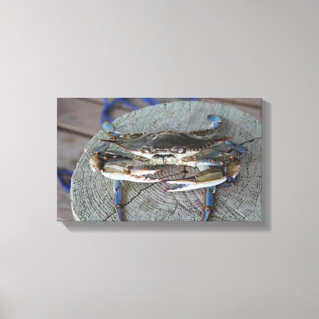 Blue Crab Chesapeake Bay Canvas Art (Front)