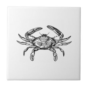 Blue Crab Logo (black and white) Tile