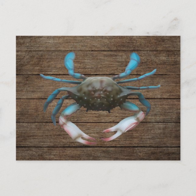 Blue Crab on Wood Postcard (Front)