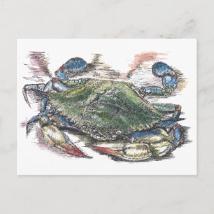 Blue Crab Postcard