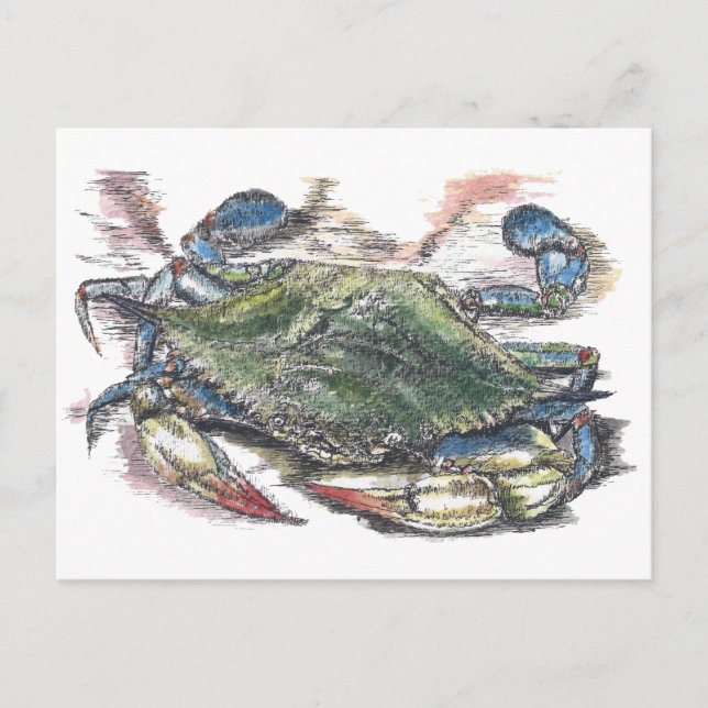 Blue Crab Postcard (Front)