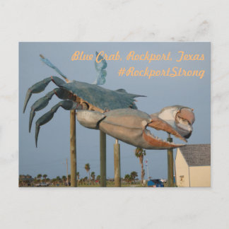 Blue Crab - Rockport, Texas Postcard
