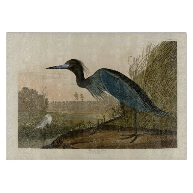 Blue Crane Heron Audubon Painting Cutting Board (Front)