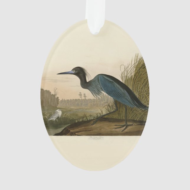 Blue Crane Heron Audubon Painting Ornament (Back)