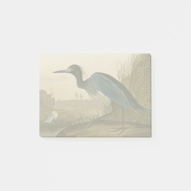Blue Crane Heron Audubon Painting Post-it Notes (Front)