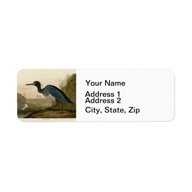 Blue Crane Heron Audubon Print Coastal Art (Front)