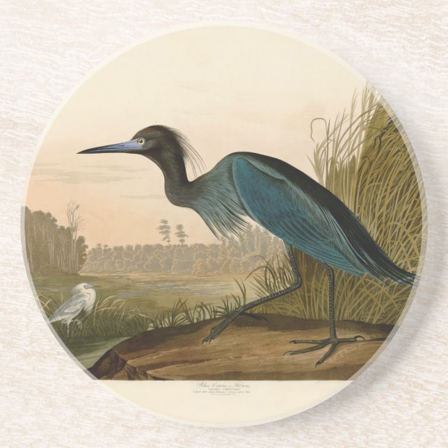 Blue Crane Heron Audubon Print Coastal Art Coaster (Front)