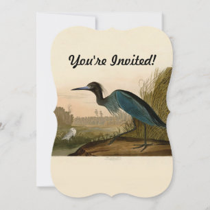 Blue Crane Heron Audubon Print Coastal Art Invitation