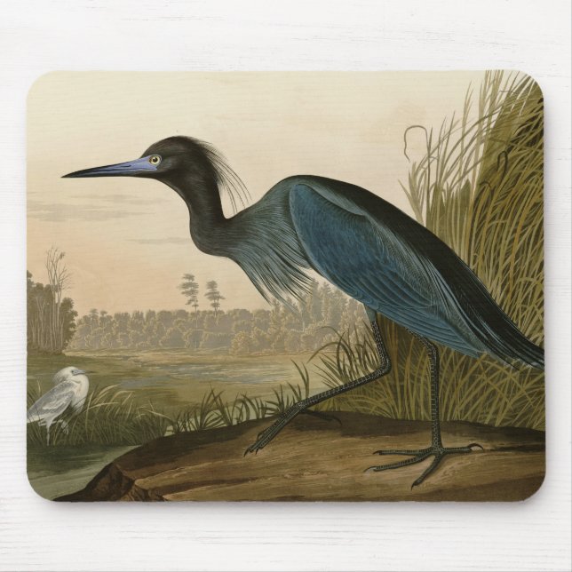Blue Crane Heron Audubon Print Coastal Art Mouse Mat (Front)