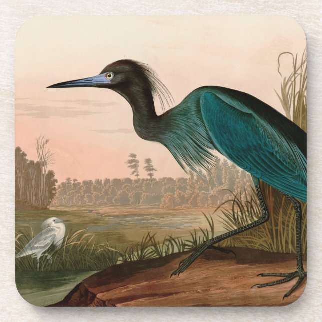 Blue Crane or Heron Birds of America Audubon Print Coaster (Front)