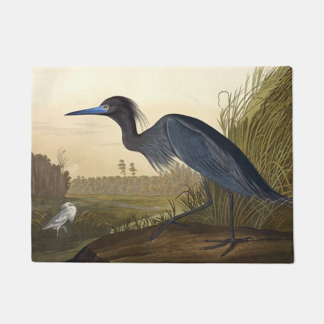 Blue Crane Or Heron Birds Of America John James Doormat (Front)