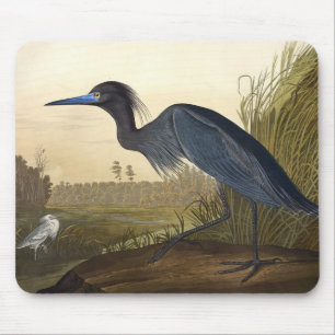 Blue Crane Or Heron Birds Of America John James Mouse Mat