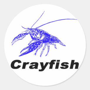 blue crayfish classic round sticker