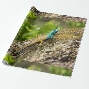Blue-Crested Lizard Calotes Mystaceus Wrapping Paper