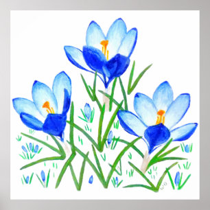 Blue Crocus Flowers Print