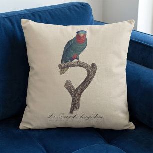 Blue-Crowned Lorikeet, Vini Australis Cushion