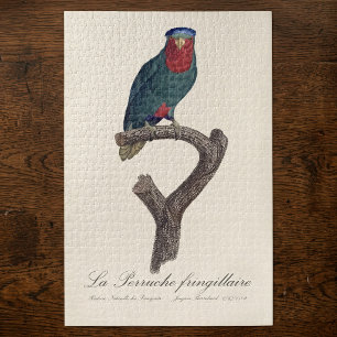 Blue-Crowned Lorikeet, Vini Australis Jigsaw Puzzle