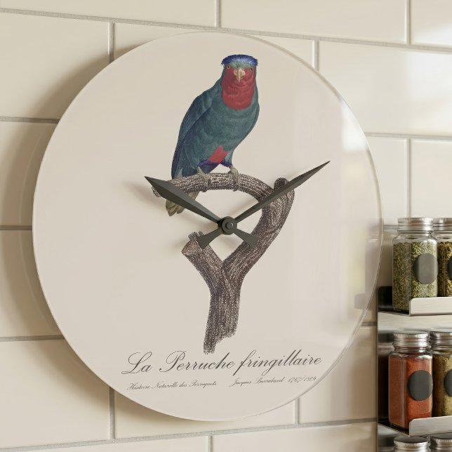 Blue-Crowned Lorikeet, Vini Australis Large Clock (Blue-Crowned Lorikeet, Vini Australis. Large Clock)