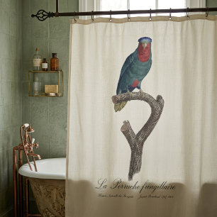 Blue-Crowned Lorikeet, Vini Australis Shower Curtain