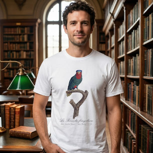 Blue-Crowned Lorikeet, Vini Australis T-Shirt