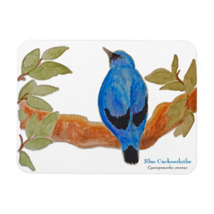 Blue Cuckooshrike on Branch Watercolor Bird Magnet