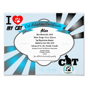 Blue Customisable Cat Adoption Certificate Photo Print