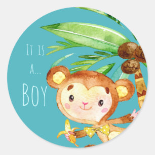 Blue Cute Monkey Baby Boy Announcement Classic Round Sticker