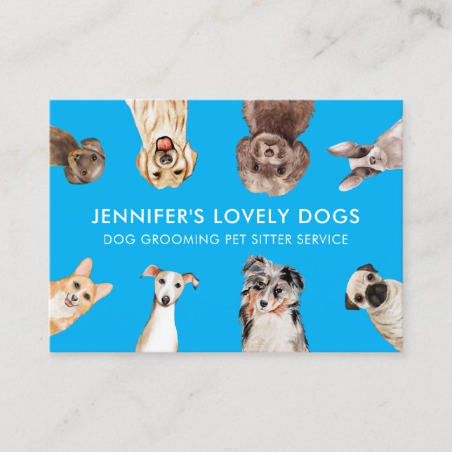 Blue Cute Small Size Dogs Pet Sitter Business Card (Front)