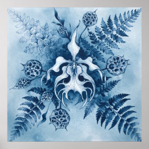 Blue Cyanotype Orchid Fern Seed Pod Poster