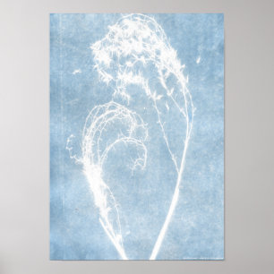 Blue Cyanotype Plant Heart Poster