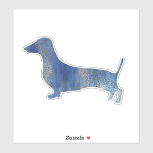 Blue dachshund