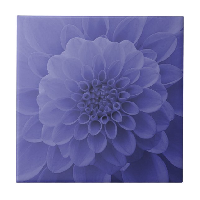 Blue Dahlia Tile (Front)