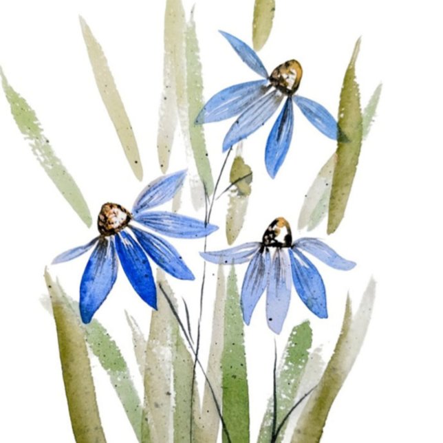 Blue Daisies Sandstone Coaster (Creator Uploaded)