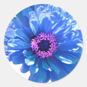 Blue daisy blue floral photo classic round sticker
