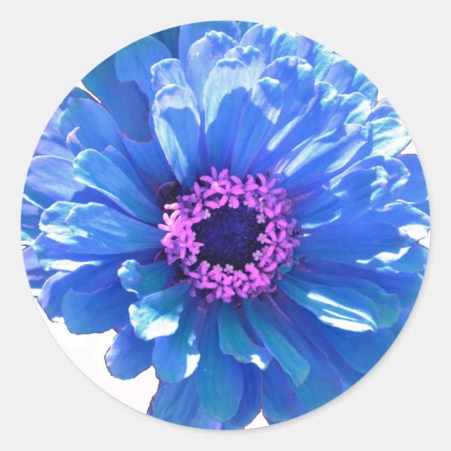 Blue daisy blue floral photo classic round sticker (Front)