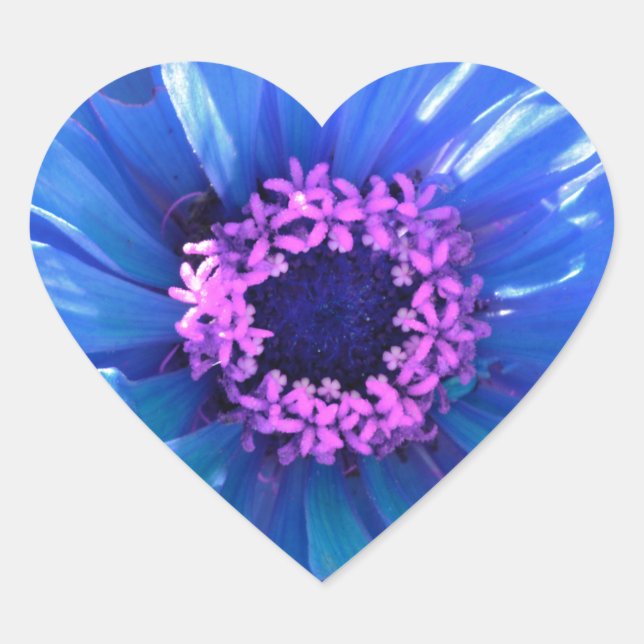 Blue daisy blue floral photo heart sticker (Front)