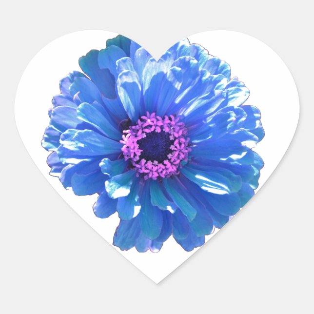 Blue daisy blue floral photo heart sticker (Front)