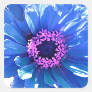Blue daisy blue floral photo square sticker