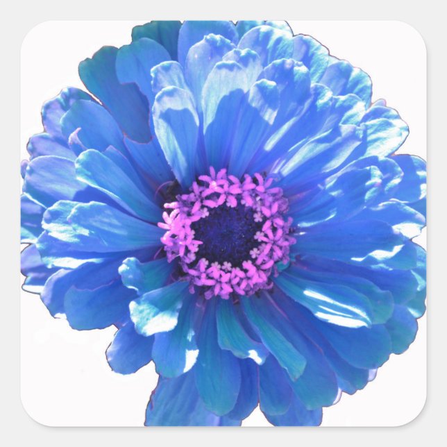 Blue daisy blue floral photo square sticker (Front)