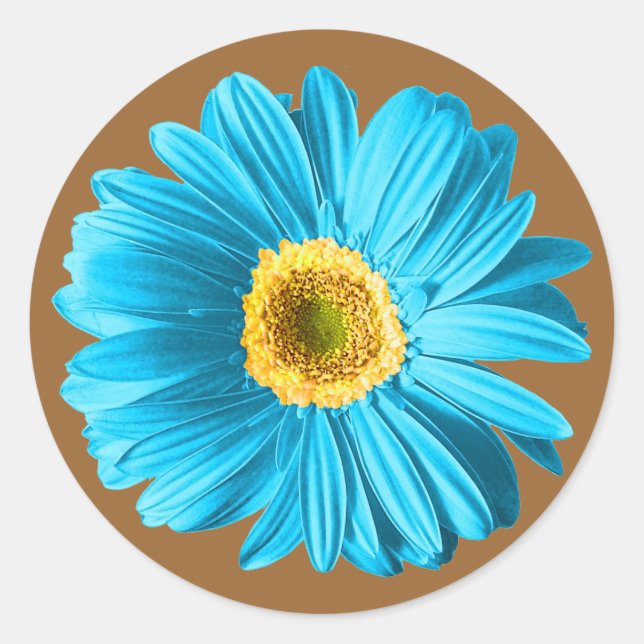 Blue Daisy Flower Classic Round Sticker (Front)