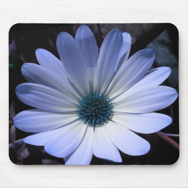 Blue Daisy Flower Mousepad (Front)