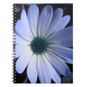 Blue Daisy Flower Notebook